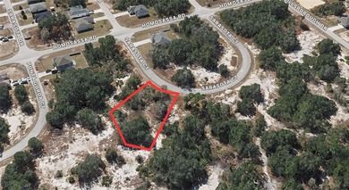 Lake Marion - Polk County Lot For Sale in Kissimmee Florida