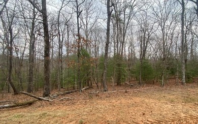 Lake Nottely Acreage For Sale in Blairsville Georgia