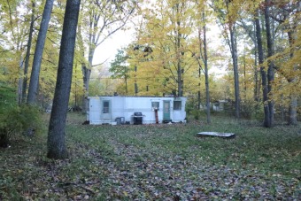 Tallman Lake Home For Sale in Fountain Michigan