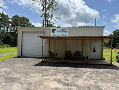 Holiday Beach Lake Commercial For Sale in Douglas Georgia