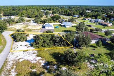 Lake Lot For Sale in Lake Placid, Florida