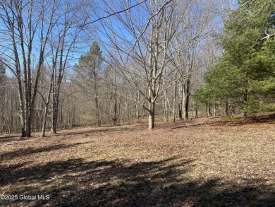 (private lake, pond, creek) Acreage For Sale in Andes New York