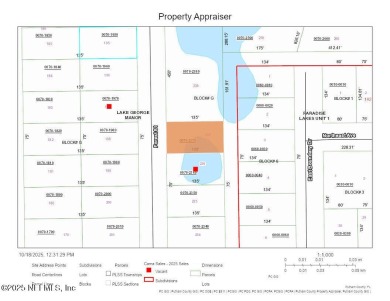 Lake George Lot For Sale in Georgetown Florida