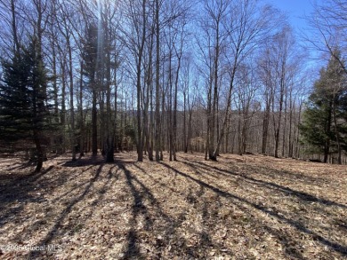 (private lake, pond, creek) Acreage For Sale in Andes New York