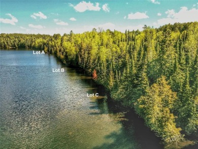 (private lake, pond, creek) Acreage Sale Pending in Bigfork Minnesota
