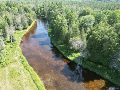 Lake Home Off Market in Cornell, Michigan