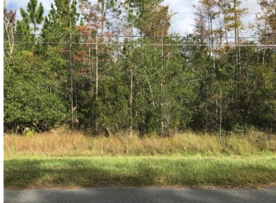 Lake Lot For Sale in Orlando, Florida