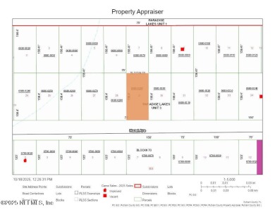 Lake George Lot For Sale in Georgetown Florida