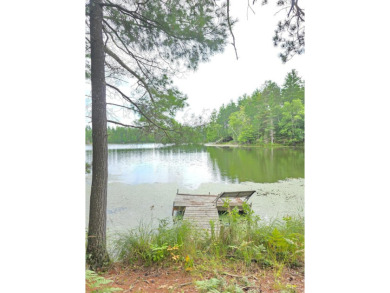 Lake Acreage For Sale in Winter, Wisconsin