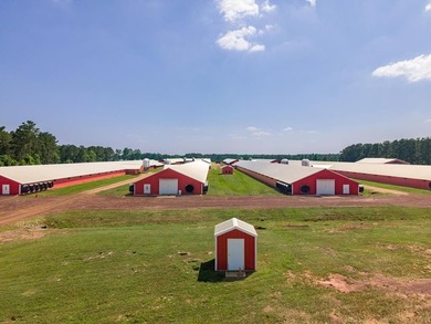 Modern income-producing 8-house broiler farm built in 2018 and - photo 1