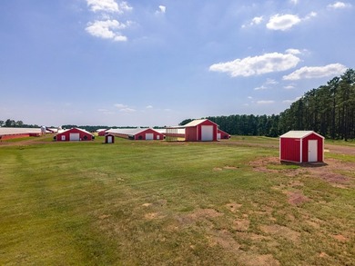 Modern income-producing 8-house broiler farm built in 2018 and - photo 2