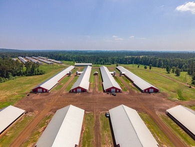 Modern income-producing 8-house broiler farm built in 2018 and - photo 3