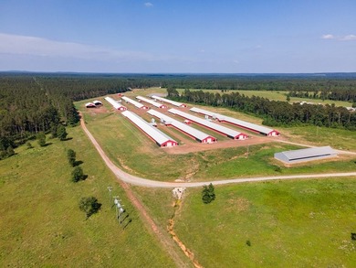 Modern income-producing 8-house broiler farm built in 2018 and - photo 4