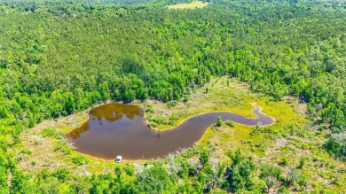 Lake Acreage For Sale in Bainbridge, Georgia