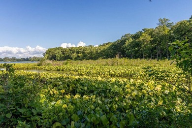 Escape to the lake without leaving the conveniences of - photo 29