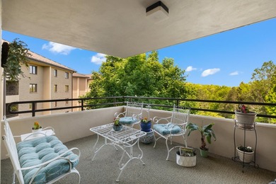PANORAMIC MOUNTAIN VIEWS, peaceful wooded scenery, and - photo 32