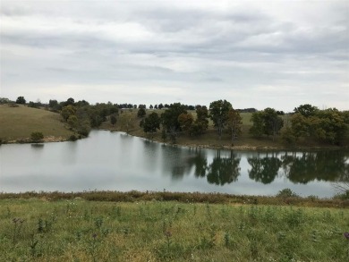 Boltz Lake Acreage For Sale in Dry Ridge Kentucky