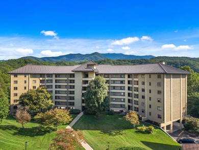 PANORAMIC MOUNTAIN VIEWS, peaceful wooded scenery, and - photo 42