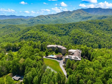 PANORAMIC MOUNTAIN VIEWS, peaceful wooded scenery, and - photo 46