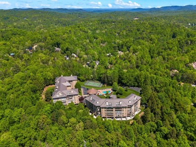 PANORAMIC MOUNTAIN VIEWS, peaceful wooded scenery, and - photo 48