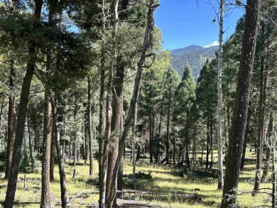 Lake Lot For Sale in Angel Fire, New Mexico