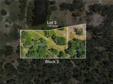 (private lake, pond, creek) Lot For Sale in College Station Texas