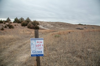 The Dave's Dunes Subdivisions are located just minutes away from - photo 4