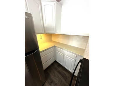 Freshly professionally painted entire unit! Renovated - photo 34