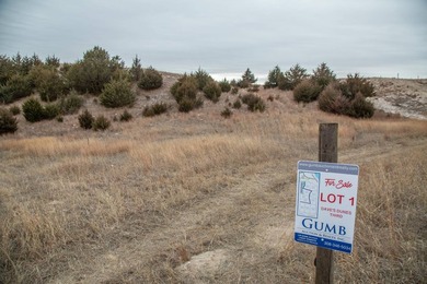 The Dave's Dunes Subdivisions are located just minutes away from - photo 5