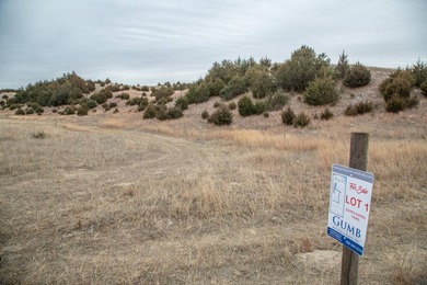 The Dave's Dunes Subdivisions are located just minutes away from - photo 6