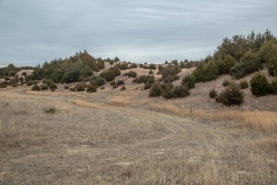 The Dave's Dunes Subdivisions are located just minutes away from - photo 7