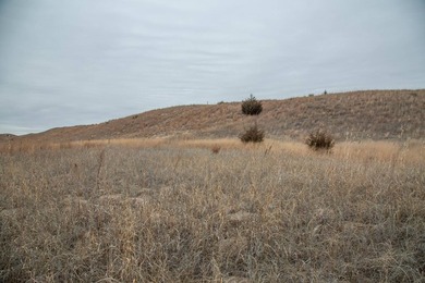 The Dave's Dunes Subdivisions are located just minutes away from - photo 8