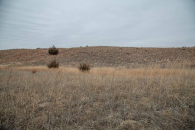 The Dave's Dunes Subdivisions are located just minutes away from - photo 9