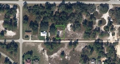 Lake Grassy Lot For Sale in Lake Placid Florida