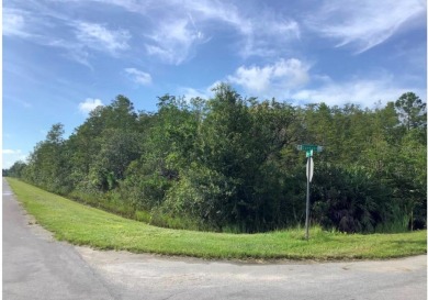 Lake Lot For Sale in Orlando, Florida