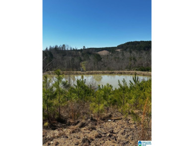 Lake Acreage Off Market in Dora, Alabama