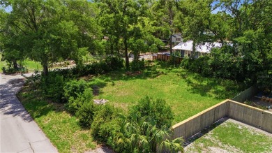 Come see this rare double lot in Old Seminole Heights. You can - photo 4