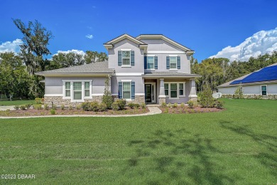 Doctors Lake Home For Sale in Fleming Island Florida