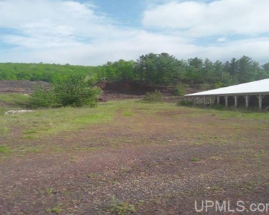 (private lake) Commercial For Sale in Iron Mountain Michigan