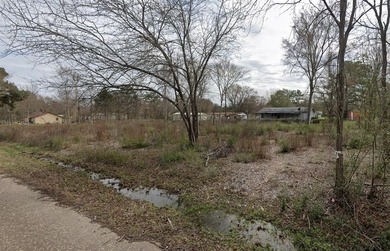Lake Lot For Sale in Frankston, Texas
