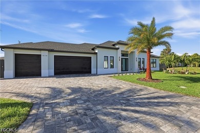 IMPROVED PRICE! - ready to move in Brand-New Luxury Home with - photo 2