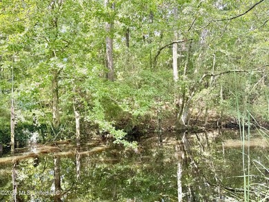 Nice waterfront lot on Meadowdale. Property is cleared and ready - photo 2