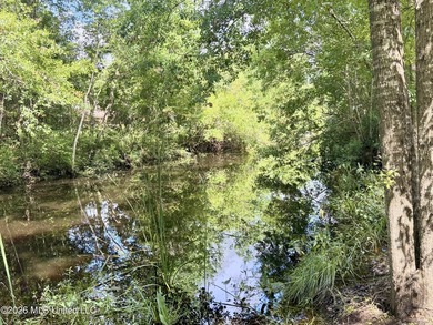 Nice waterfront lot on Meadowdale. Property is cleared and ready - photo 4