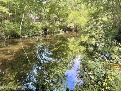 Nice waterfront lot on Meadowdale. Property is cleared and ready - photo 8
