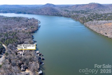 Lakefront living on the main channel of Lake Tillery with a - photo 36