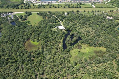 Lake Home For Sale in Arcadia, Florida