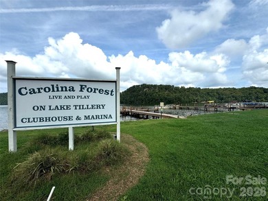 Lakefront living on the main channel of Lake Tillery with a - photo 44