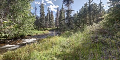 (private lake, pond, creek) Lot For Sale in Red River New Mexico