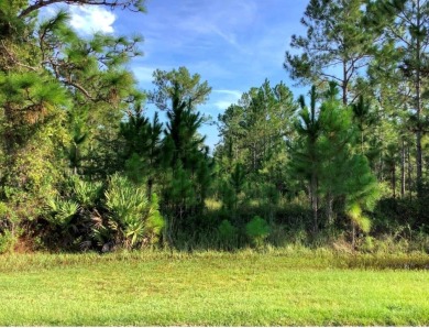 Lake Lot For Sale in Orlando, Florida