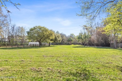Did you say 3.3 Acres in Le Triomphe? You read that right! - photo 13